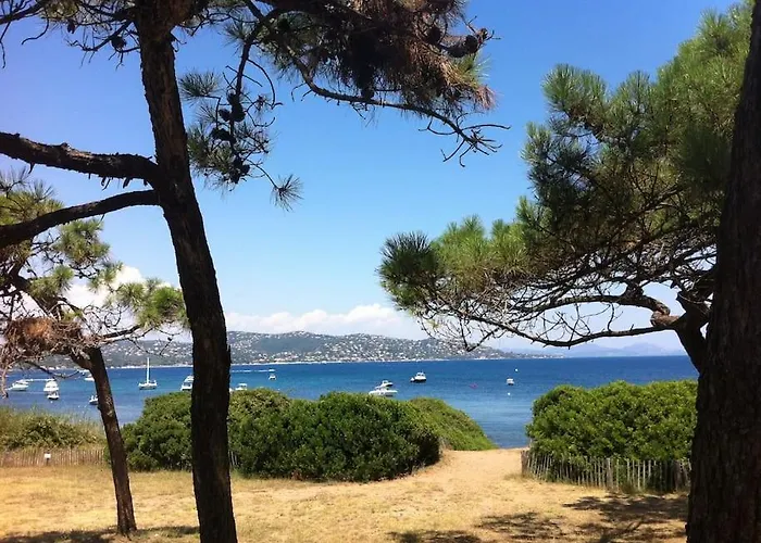 Coquet Dans Mazet Ste Maxime Riviera Sainte-Maxime