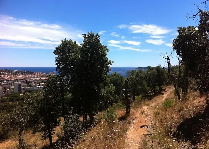 Coquet Dans Mazet Ste Maxime Riviera Lejlighed Sainte-Maxime