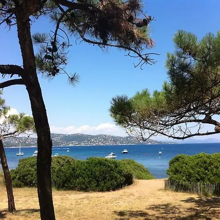 Coquet Dans Mazet Ste Maxime Riviera Σαιντ-Μαξίμ