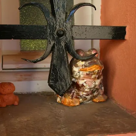 Coquet Dans Mazet Ste Maxime Riviera *