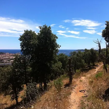 Coquet Dans Mazet Ste Maxime Riviera Διαμέρισμα Σαιντ-Μαξίμ